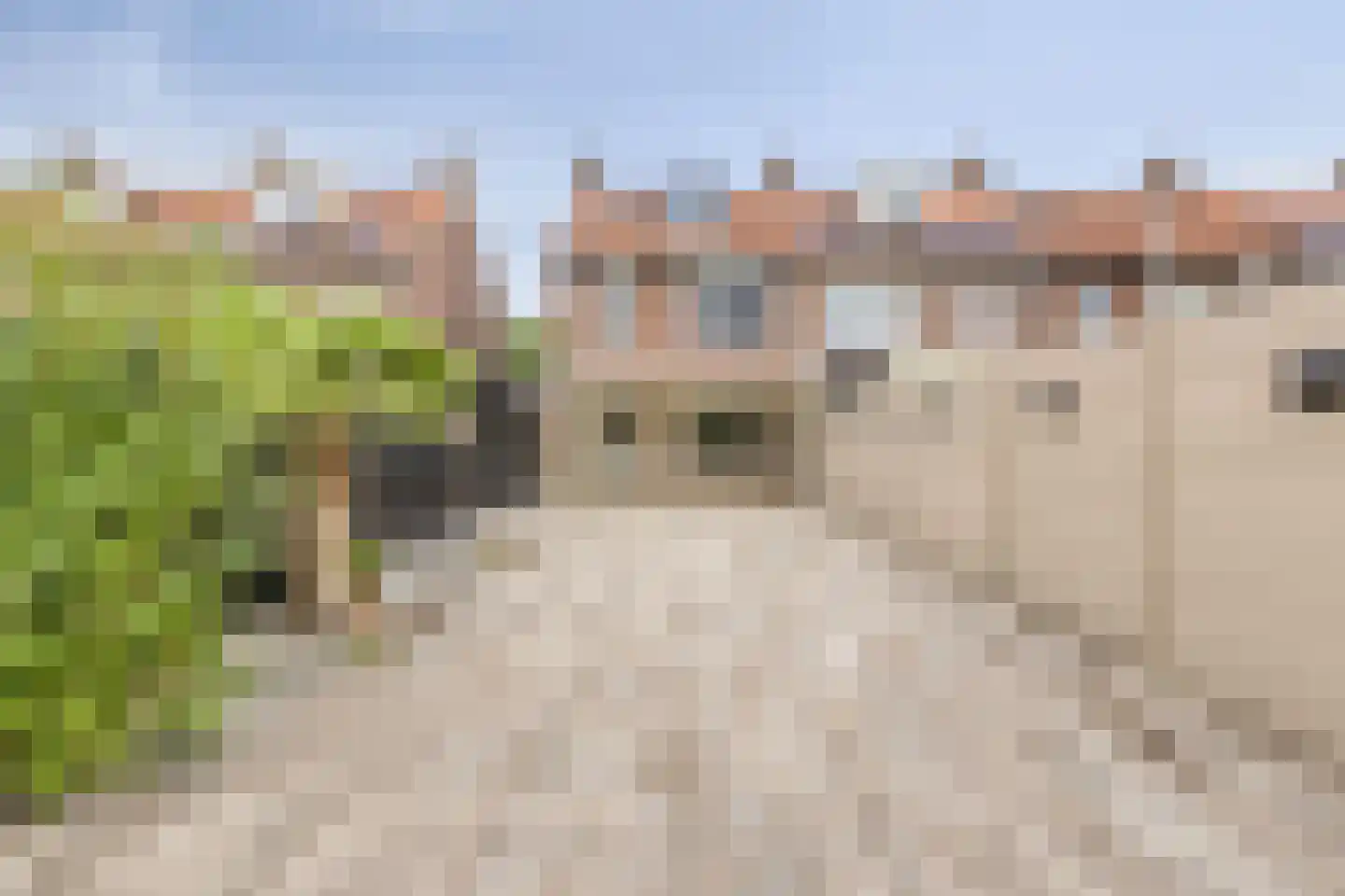 Dr. Struyckenstraat 133 Breda thumbnail 32