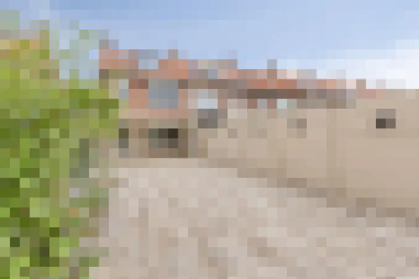 Dr. Struyckenstraat 133 Breda thumbnail 33