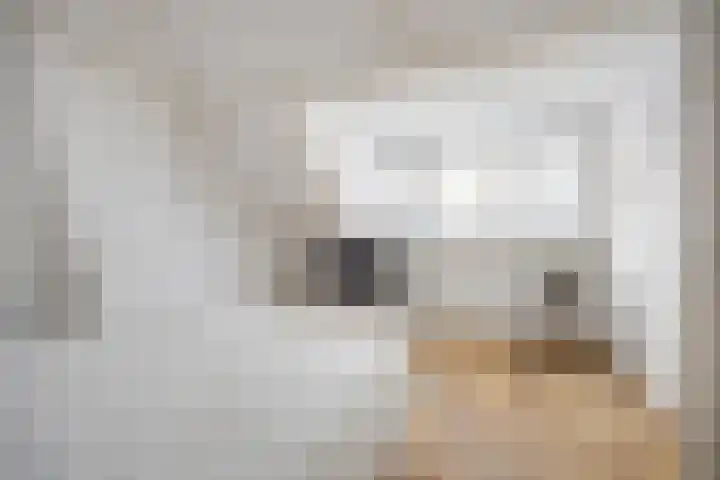 Dr. Struyckenstraat 139 Breda thumbnail 36