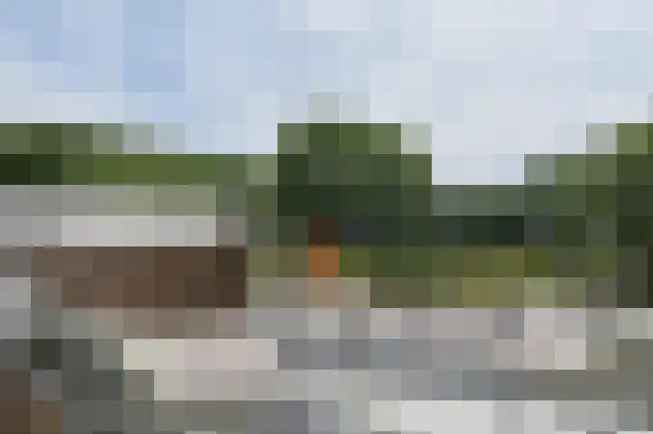 Dr. Struyckenstraat 14 Breda thumbnail 25