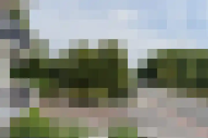 Dr. Struyckenstraat 14 Breda thumbnail 26
