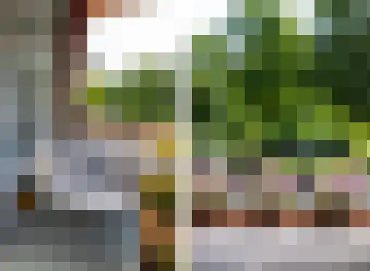 Dr. Struyckenstraat 14 Breda thumbnail 28