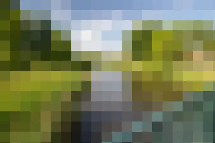 Dr. Struyckenstraat 14 Breda thumbnail 31