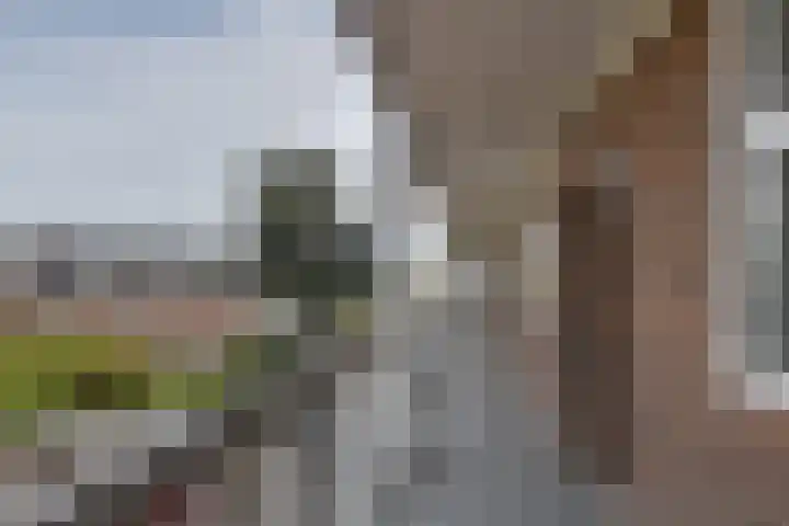 Dr. Struyckenstraat 14 Breda thumbnail 34