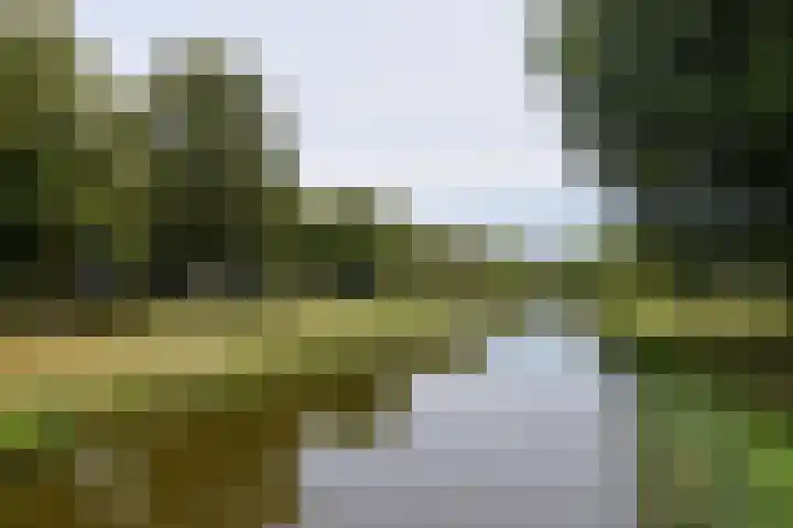 Dr. Struyckenstraat 14 Breda thumbnail 36