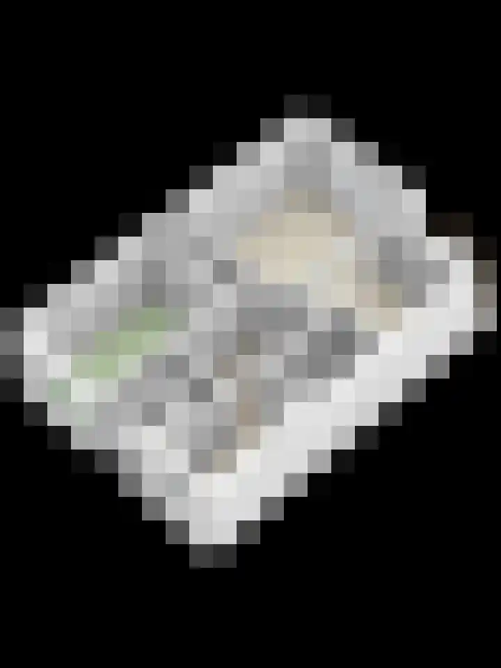 Dr. Struyckenstraat 14 Breda thumbnail 39