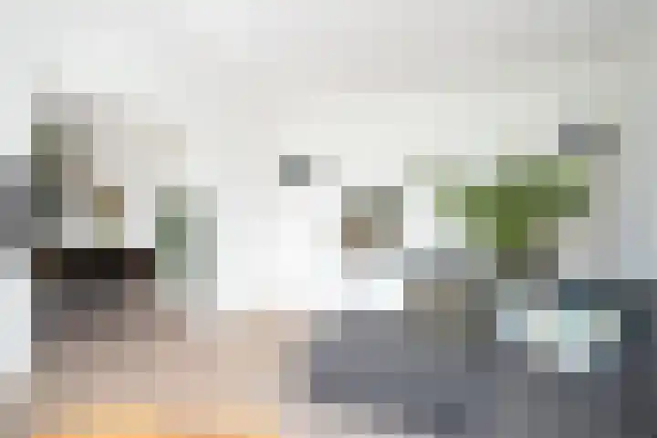 Dr. Struyckenstraat 14 Breda thumbnail 4