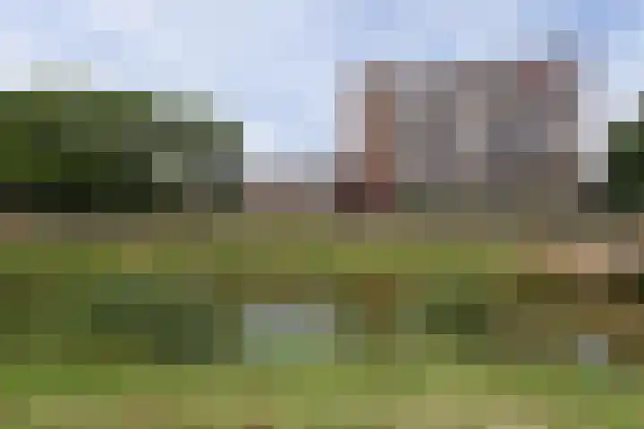 Dr. Struyckenstraat 14 Breda thumbnail 41