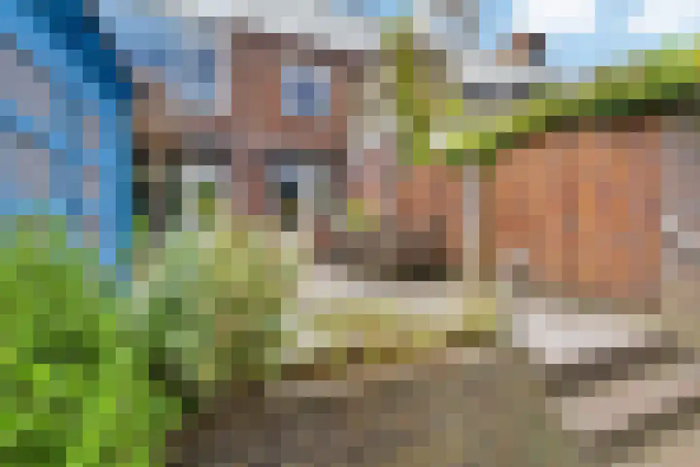 Dr. Struyckenstraat 166 Breda thumbnail 46
