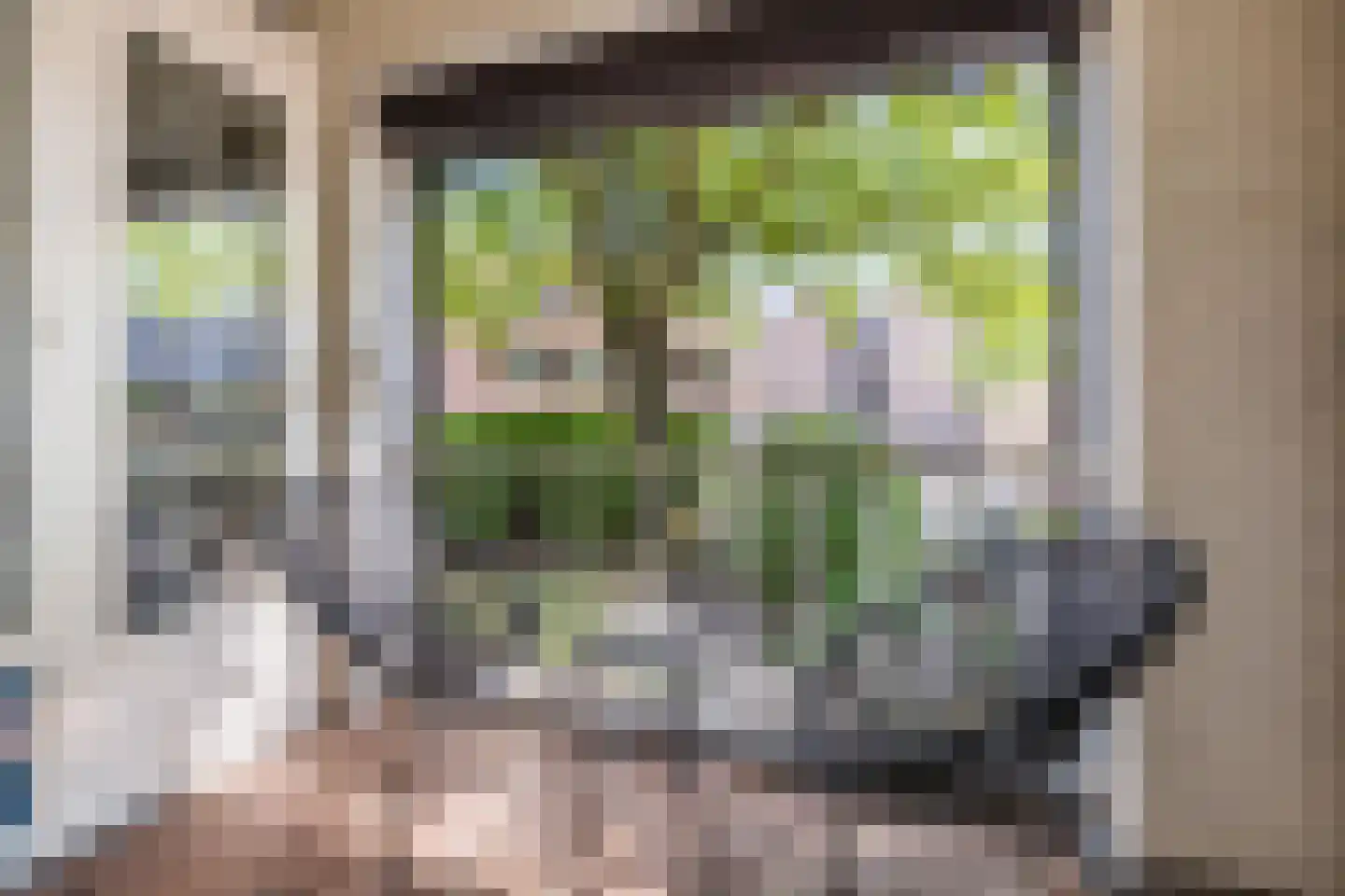 Dr. Struyckenstraat 21 Breda thumbnail 13