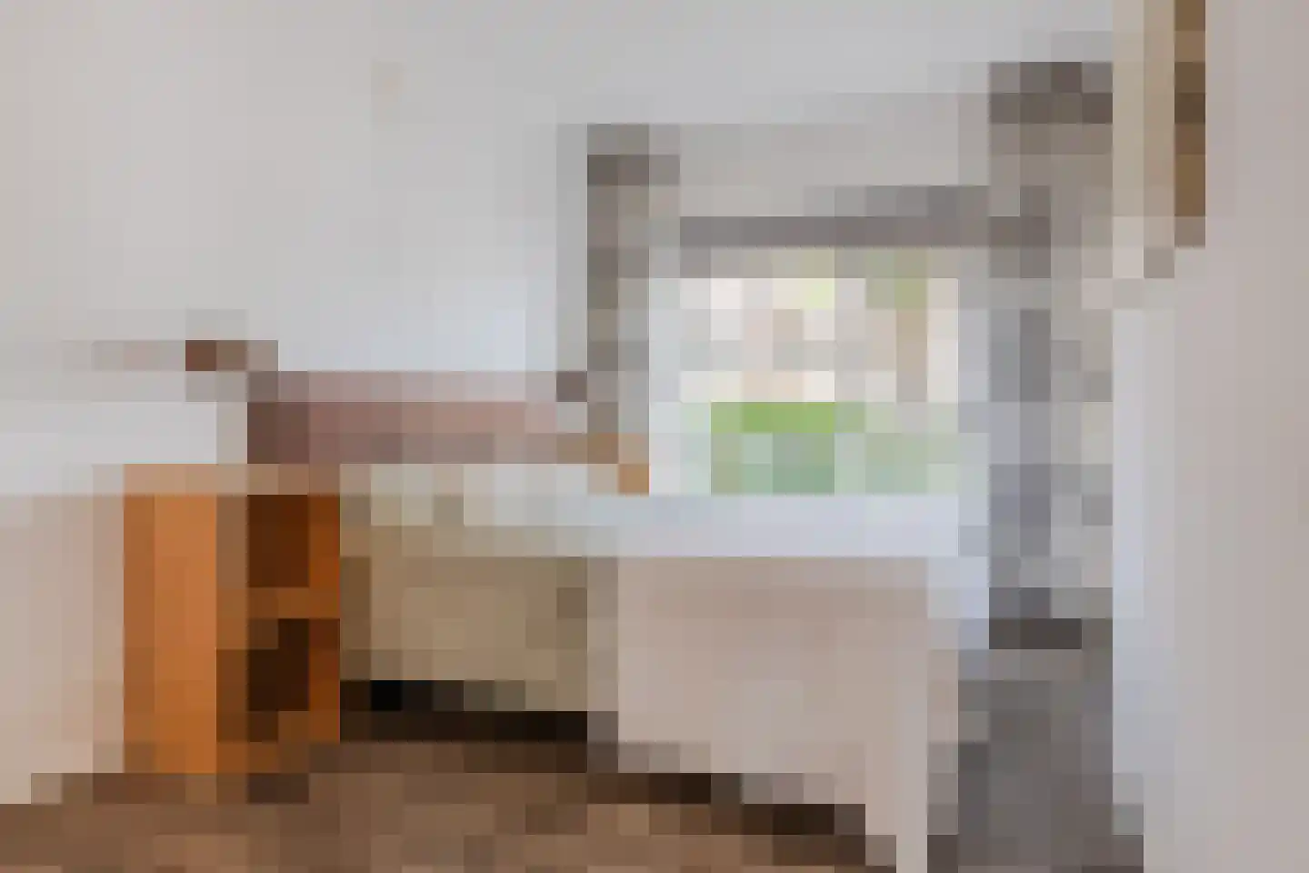 Dr. Struyckenstraat 21 Breda thumbnail 23