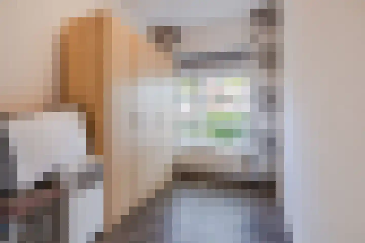Dr. Struyckenstraat 21 Breda thumbnail 26