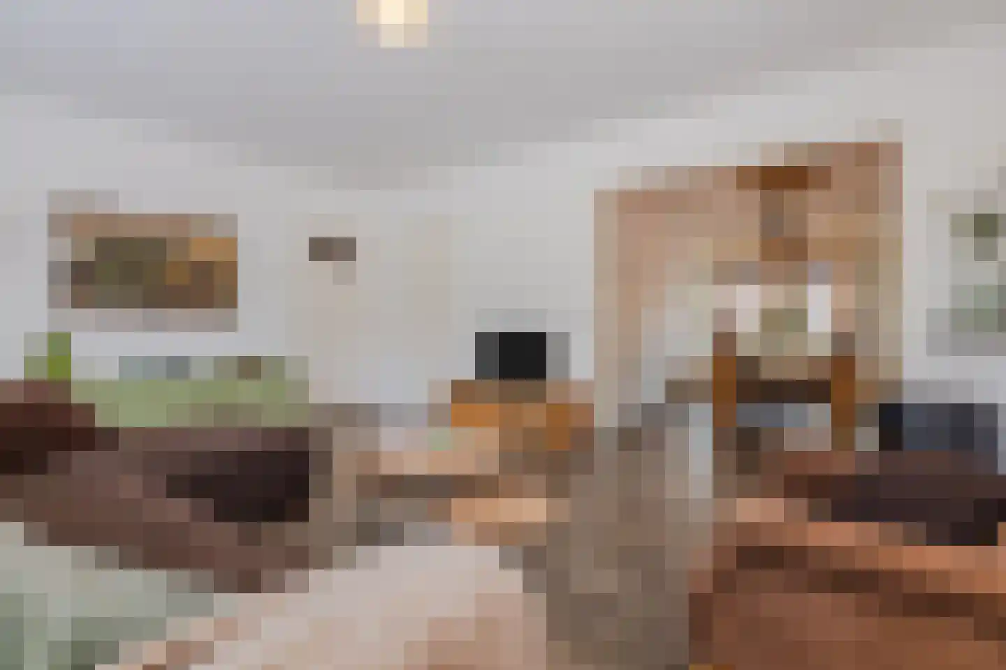 Dr. Struyckenstraat 21 Breda thumbnail 8