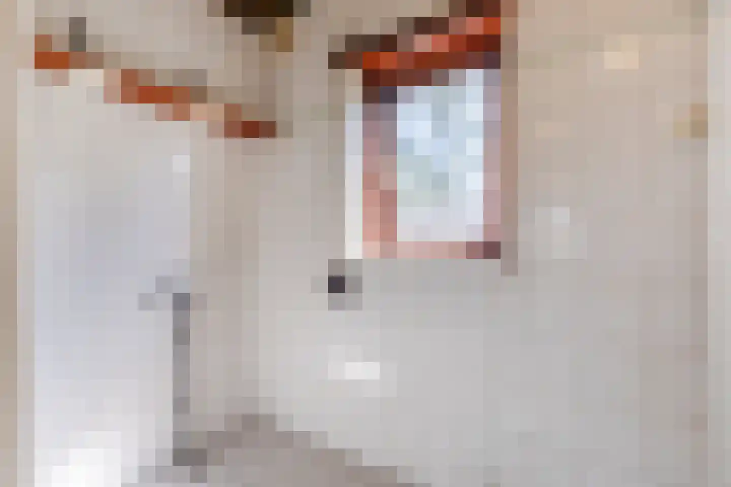 Dr. Struyckenstraat 222 Breda thumbnail 27