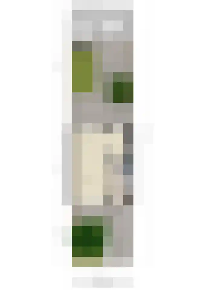 Dr. Struyckenstraat 240 Breda thumbnail 35