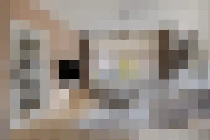 Dr. Struyckenstraat 240 Breda thumbnail 8