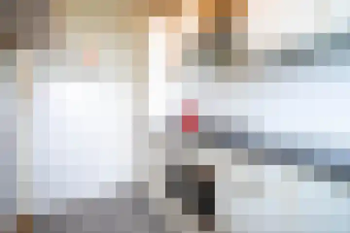 Dr. Struyckenstraat 34 Breda thumbnail 16