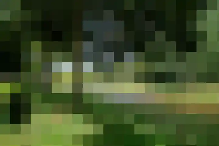 Dr. Struyckenstraat 34 Breda thumbnail 24