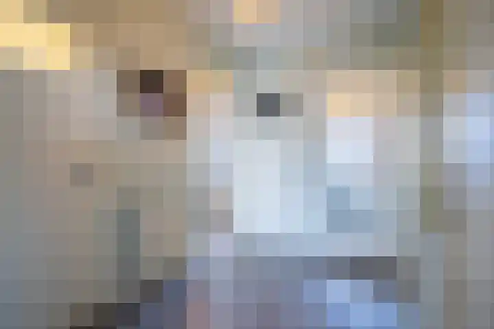 Dr. Struyckenstraat 34 Breda thumbnail 8