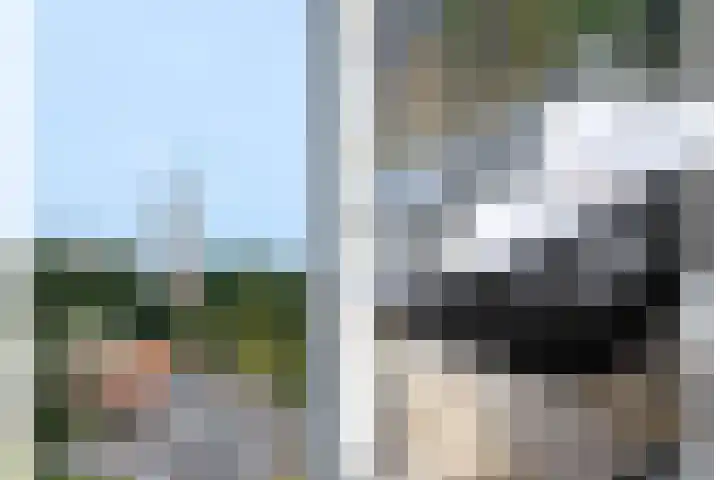 Dr. Struyckenstraat 40 Breda thumbnail 11
