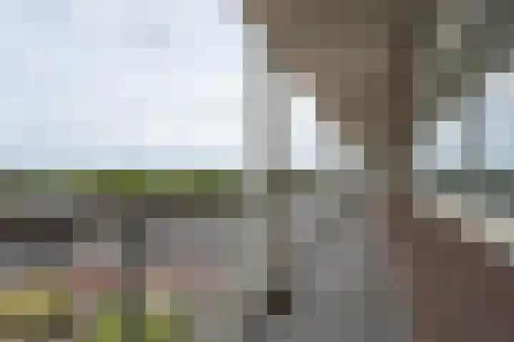 Dr. Struyckenstraat 40 Breda thumbnail 27