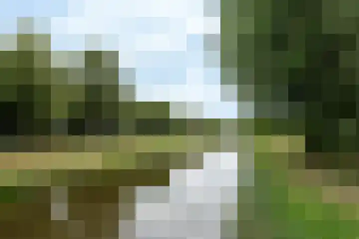 Dr. Struyckenstraat 40 Breda thumbnail 31