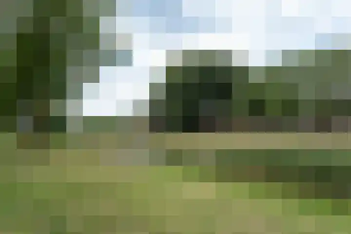 Dr. Struyckenstraat 40 Breda thumbnail 33
