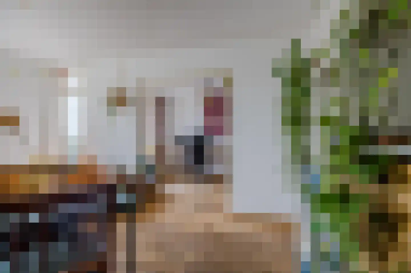 Dr. Struyckenstraat 42 Breda thumbnail 23