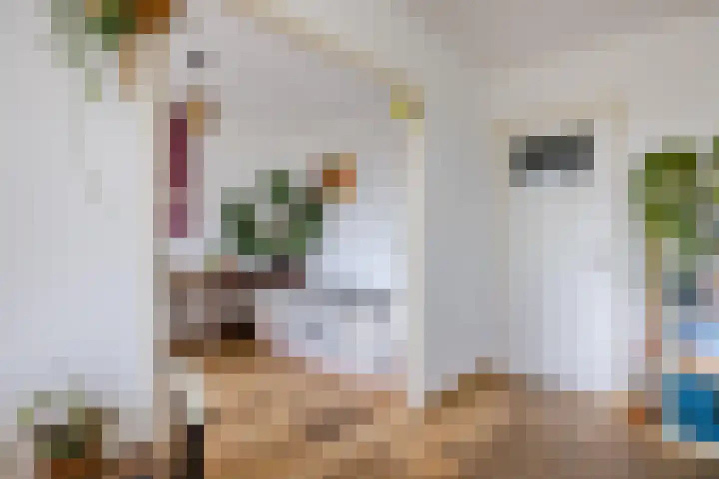 Dr. Struyckenstraat 42 Breda thumbnail 25