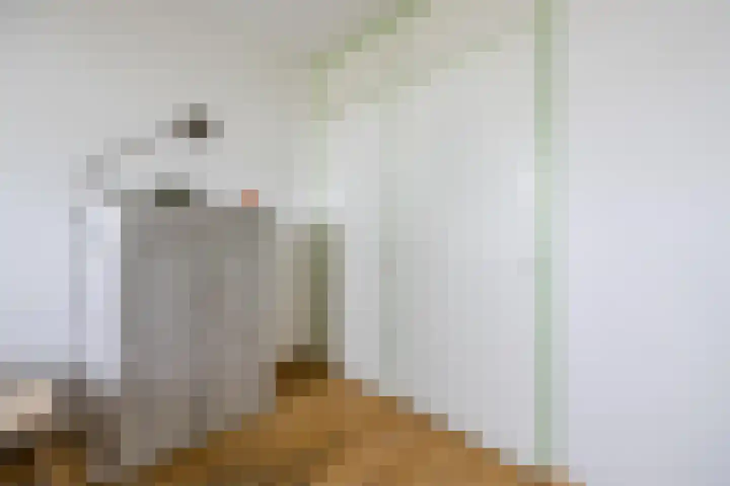 Dr. Struyckenstraat 42 Breda thumbnail 34