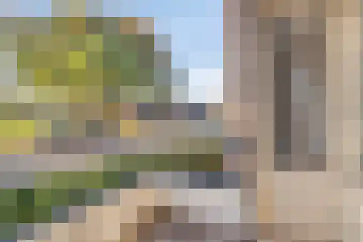 Dr. Struyckenstraat 68 Breda thumbnail 15