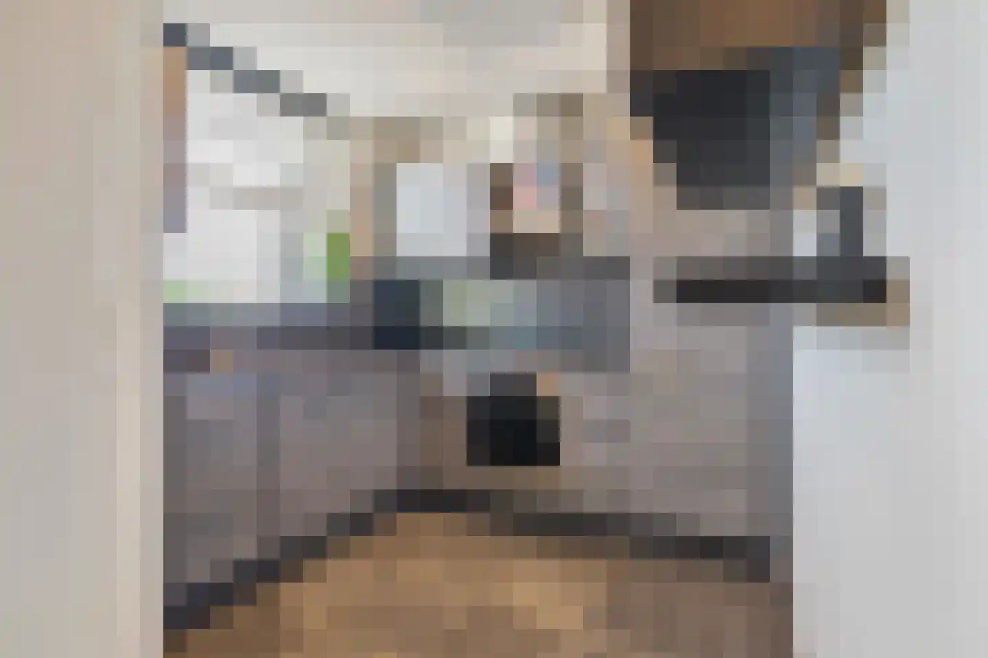 Dr. Struyckenstraat 84 Breda thumbnail 28