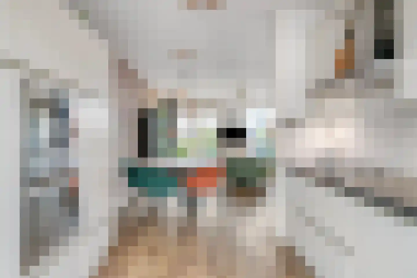 Dr. Struyckenstraat 98 A10 Breda thumbnail 8