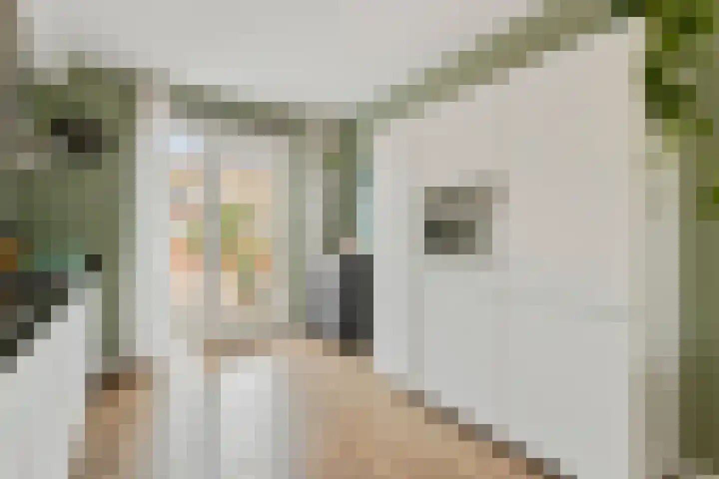 Dr. Struyckenstraat 98 A6 Breda thumbnail 15
