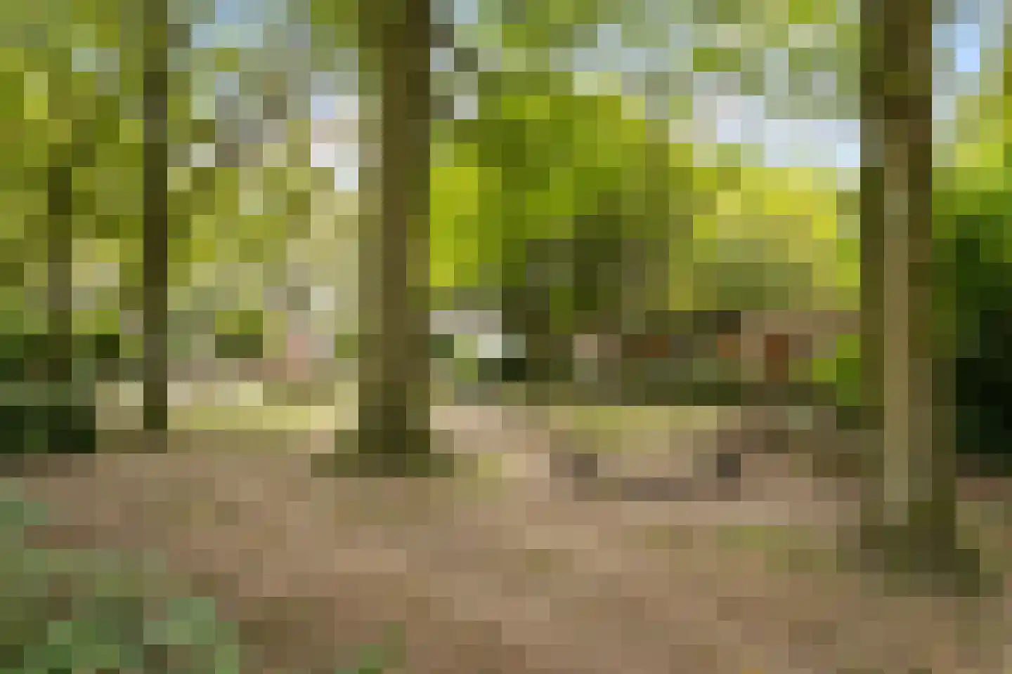 Dr. Struyckenstraat 98 A6 Breda thumbnail 47