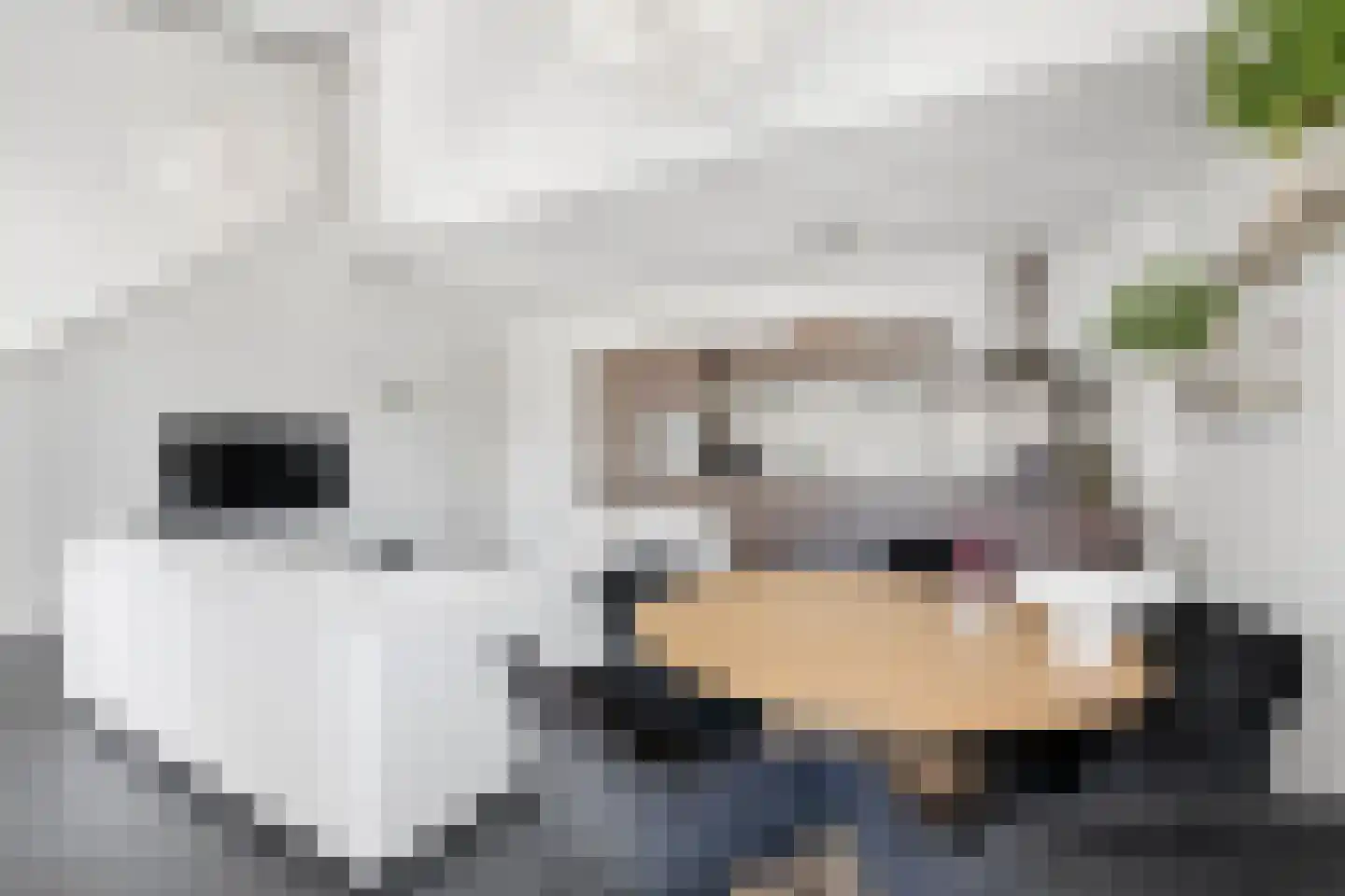 Dr. Struyckenstraat 98 B29 Breda thumbnail 16