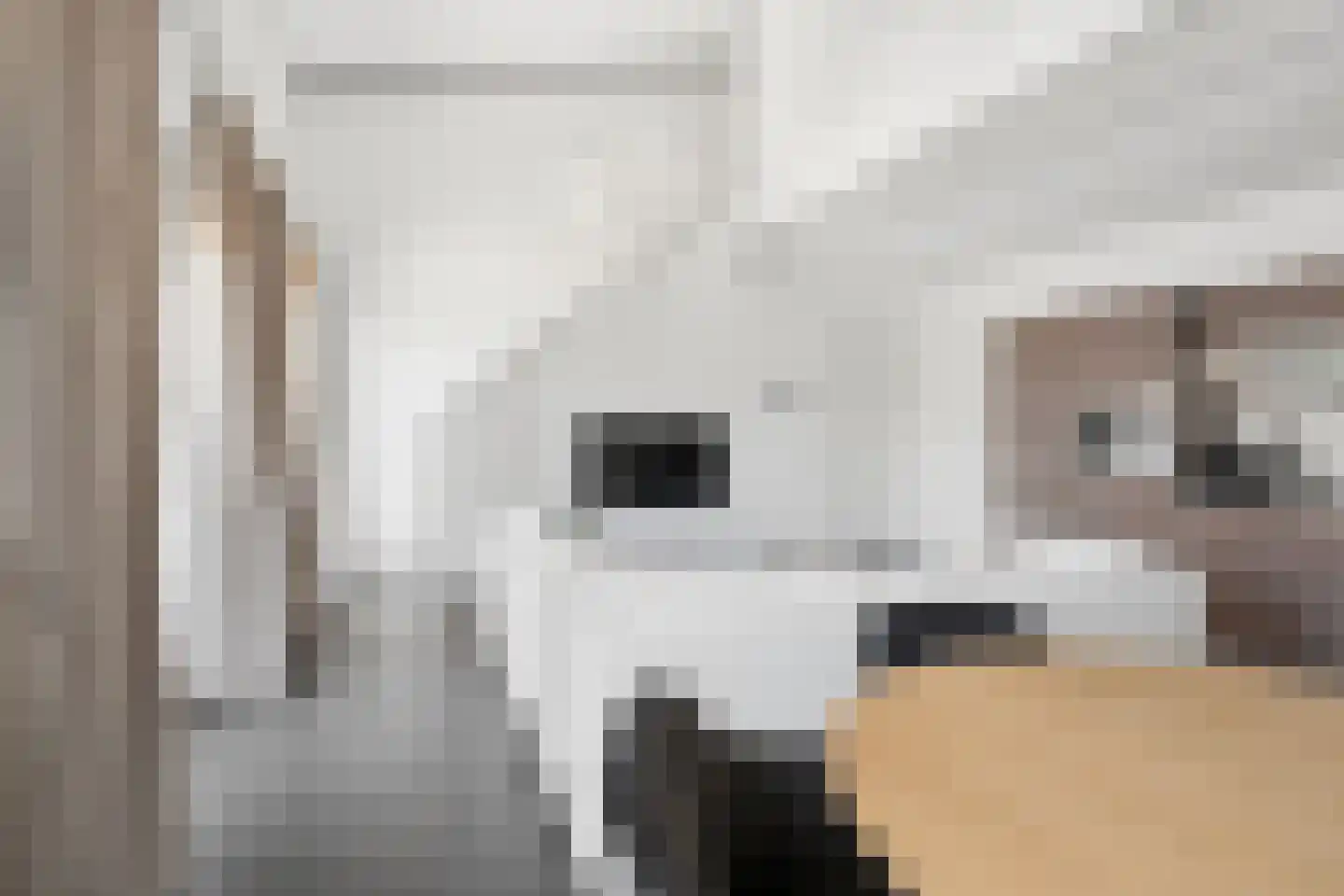Dr. Struyckenstraat 98 B29 Breda thumbnail 17