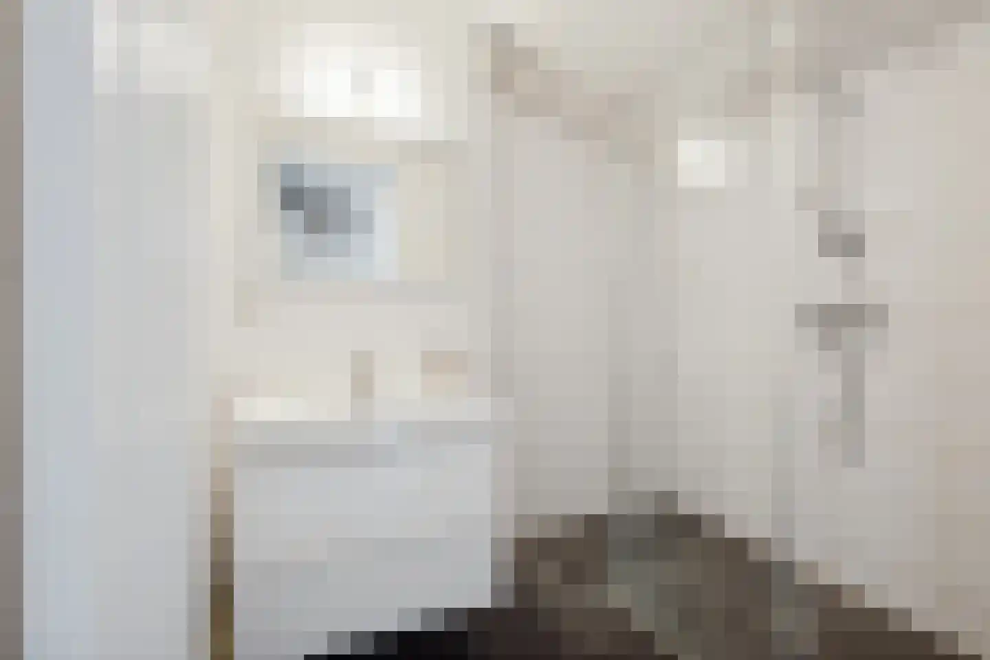Dr. Struyckenstraat 98 B29 Breda thumbnail 34