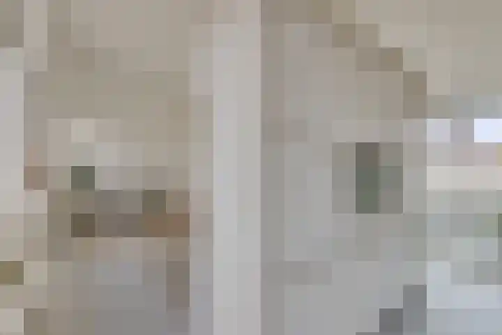 Dr. Struyckenstraat 98 C24 Breda thumbnail 17