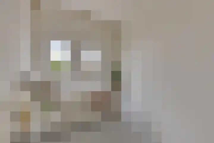 Dr. Struyckenstraat 98 C24 Breda thumbnail 21
