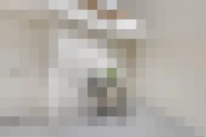 Dr. Struyckenstraat 98 C24 Breda thumbnail 24