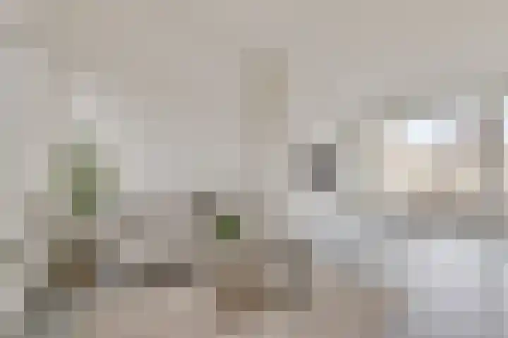 Dr. Struyckenstraat 98 C24 Breda thumbnail 9