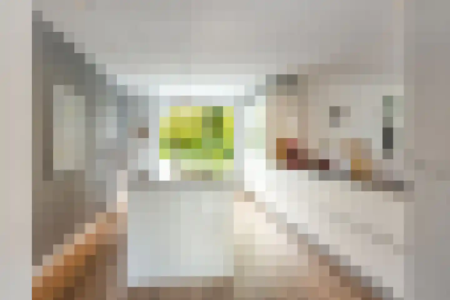 Dr. ten Bokkel Huininkweg 24 Lochem thumbnail 13