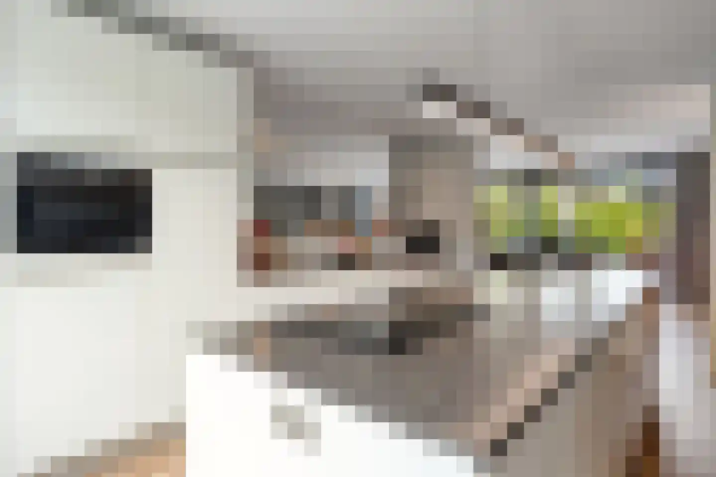 Dr. ten Bokkel Huininkweg 24 Lochem thumbnail 14