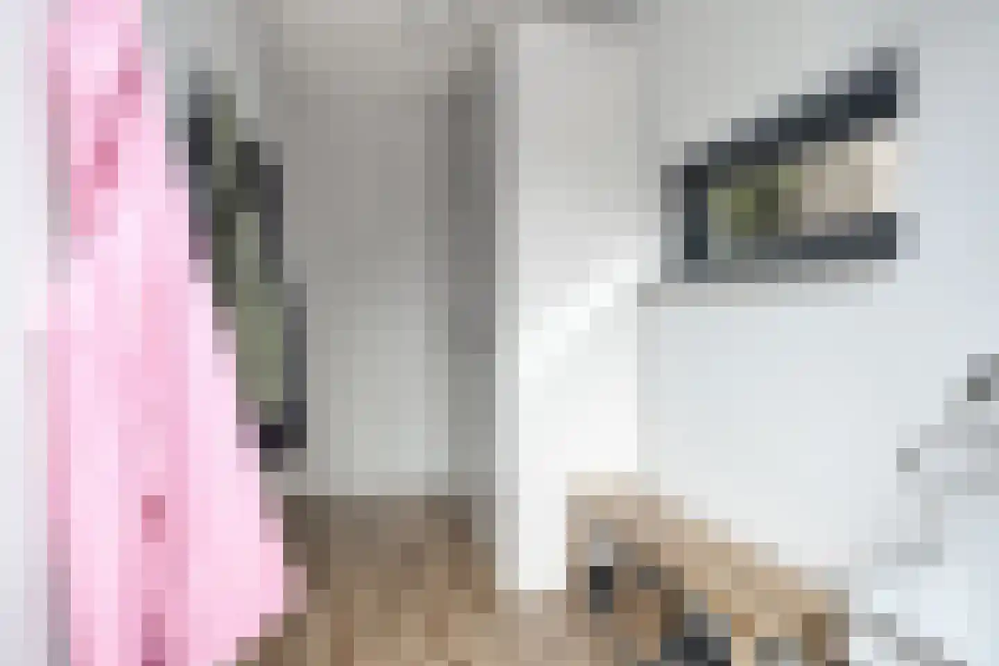 Dr. ten Bokkel Huininkweg 24 Lochem thumbnail 19