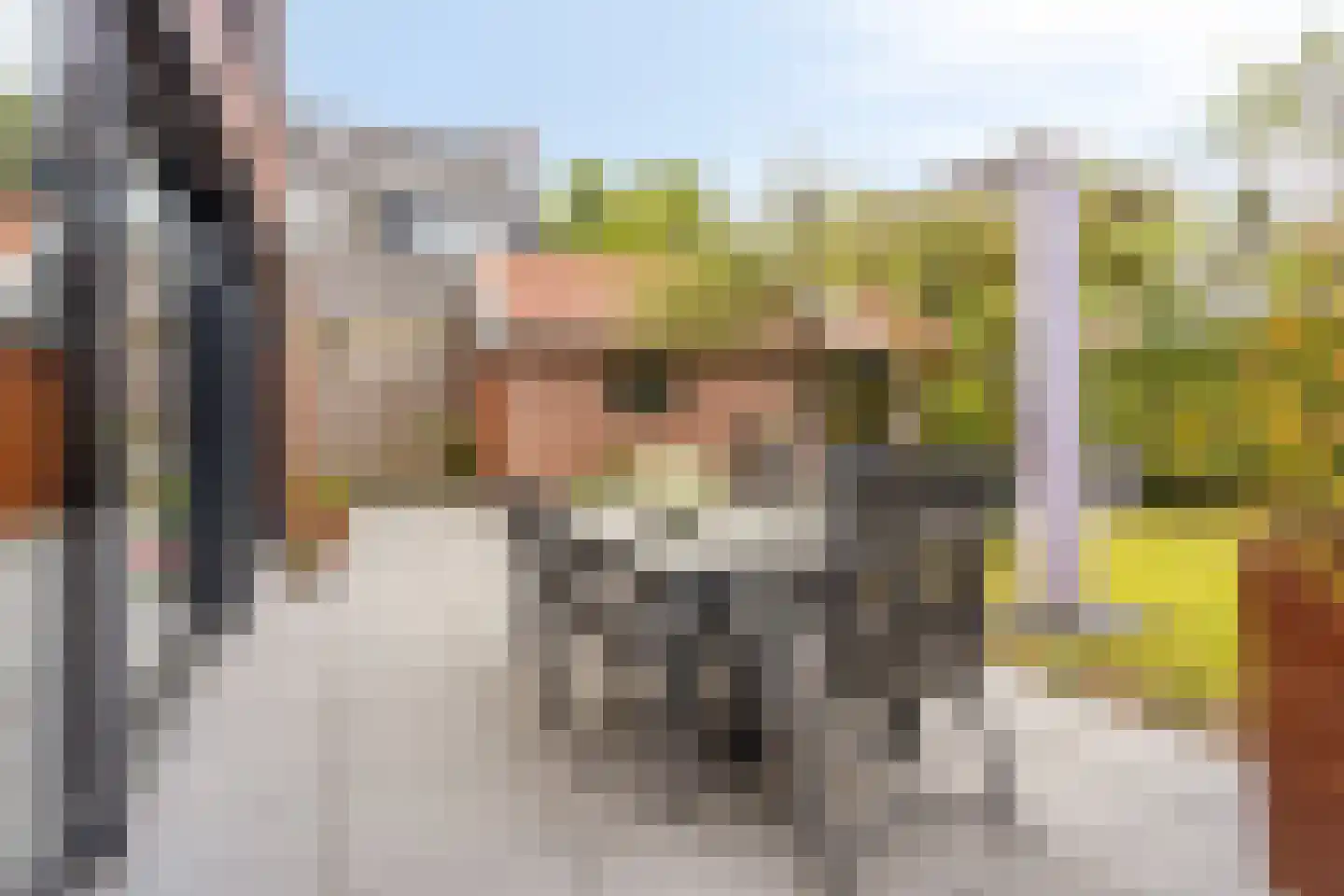 Dr. ten Bokkel Huininkweg 24 Lochem thumbnail 36