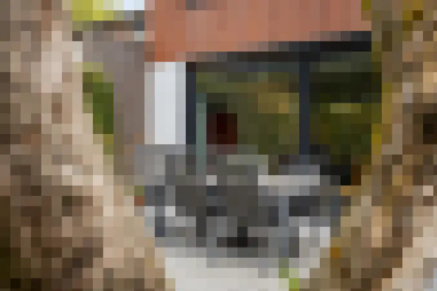 Dr. ten Bokkel Huininkweg 24 Lochem thumbnail 37