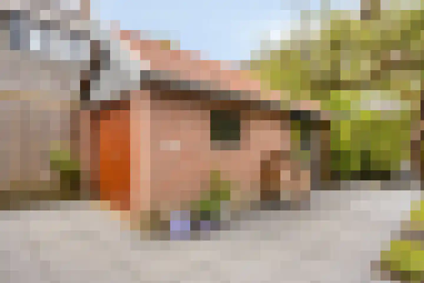 Dr. ten Bokkel Huininkweg 24 Lochem thumbnail 39
