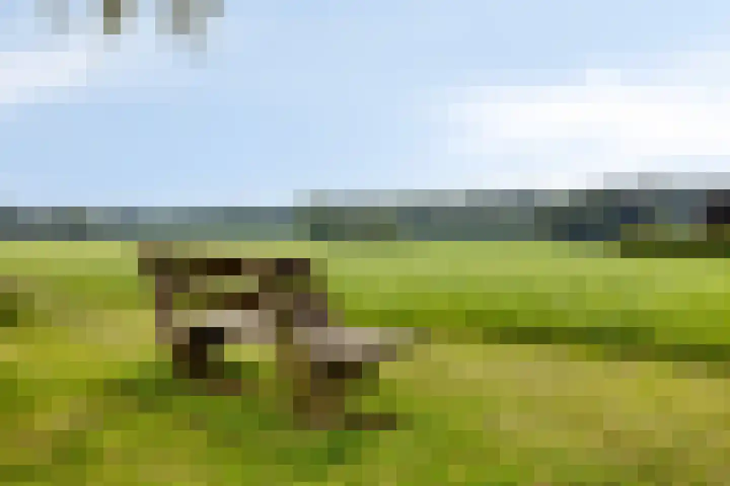 Dr. ten Bokkel Huininkweg 24 Lochem thumbnail 42