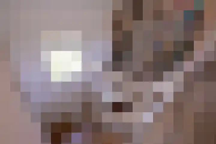 Dr. ten Bokkel Huininkweg 28 Lochem thumbnail 24